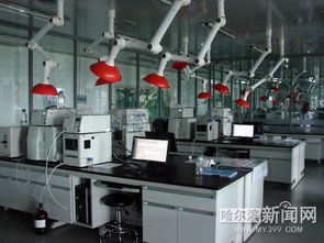 冰城乳品 乳此新鮮系列報道之三｜將新鮮進(jìn)行到底 冰城乳企牛在拼鮮投資管理