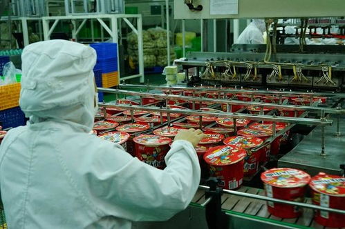 四川白家食品A輪融資1.1億元 疫情之下方便食品行業迎來新機遇